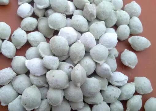 Ammonium Chloride Extruded Granules.jpg